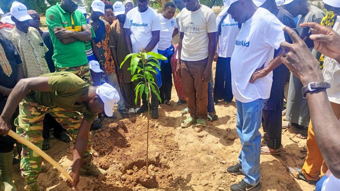 In the fight against desertification, Burkina Faso mobilizes to plant 5 million trees in one hour