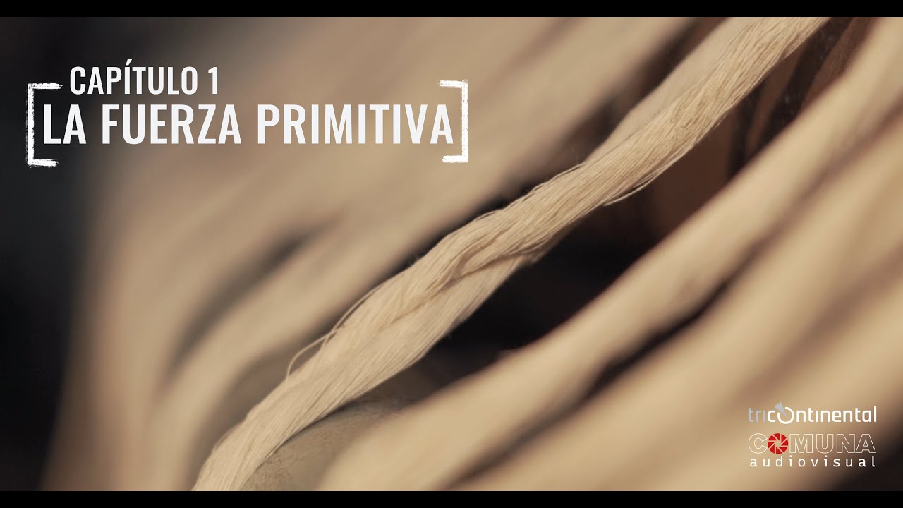 La fuerza primitiva – Capítulo 1, Las fuerzas de la desigualdad